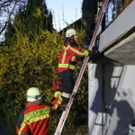 20250403ÜbungSteckleiter0032