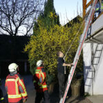 20250403ÜbungSteckleiter0038