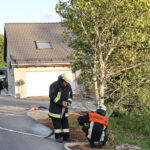 20250515ÜbungFriedrichshof0014