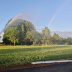 20250515ÜbungFriedrichshof0022