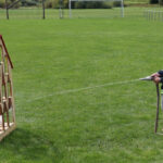 20250907Grillfes0373